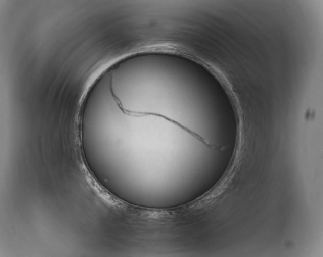X0000115650816200911101538