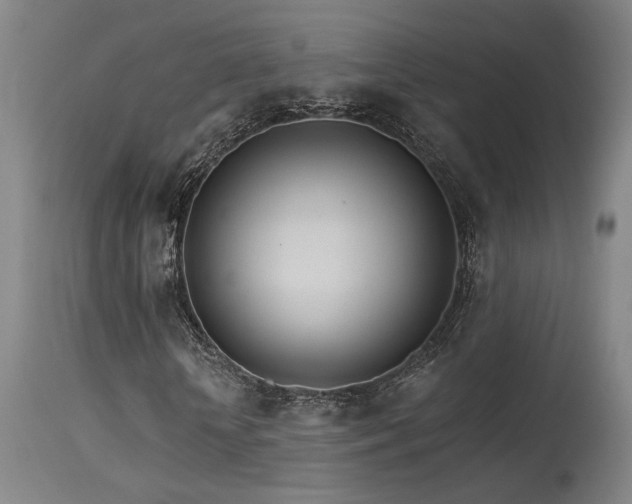 X0000115650818200911101537