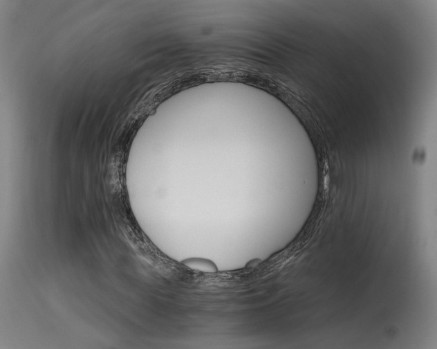X0000115650819200911101537