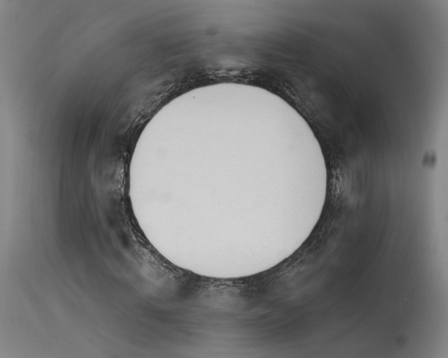 X0000115650820200911101537