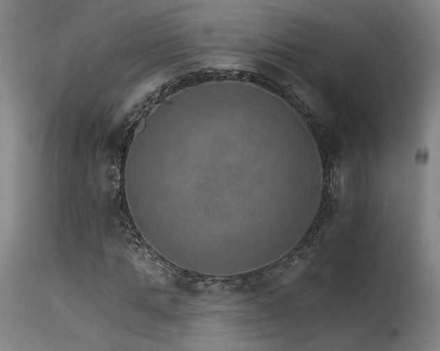 X0000115650821200911101537