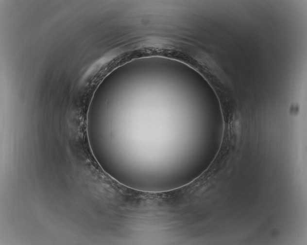 X0000115650822200911101537