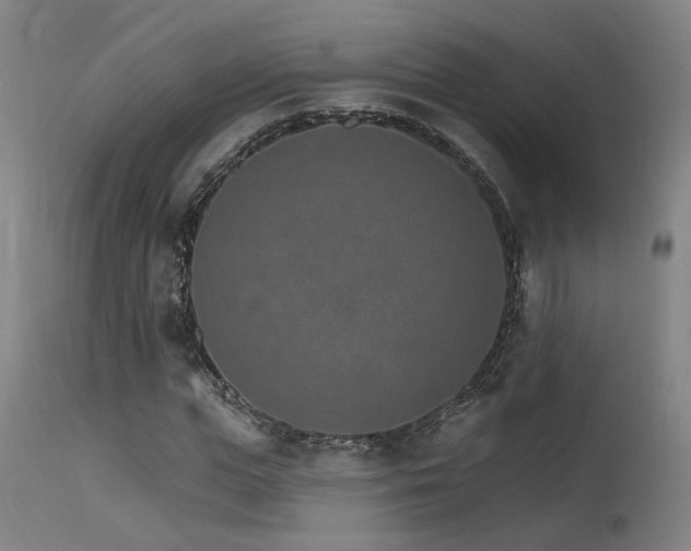 X0000115650823200911101537