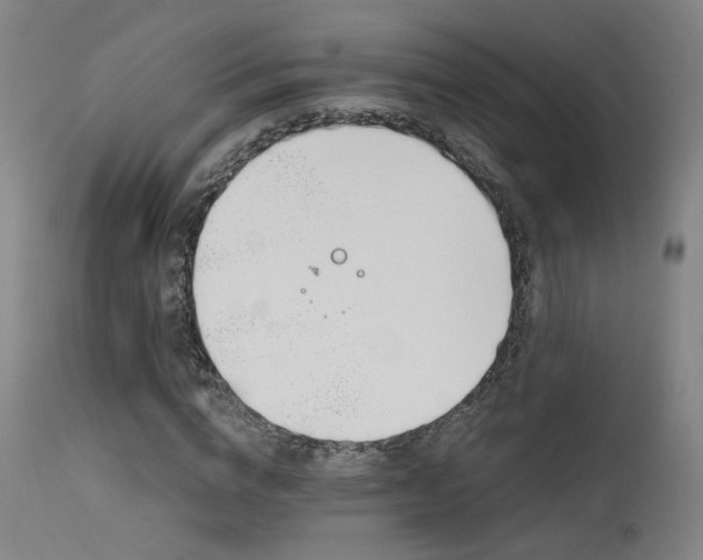 X0000115650824200911101537