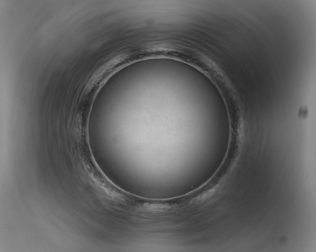 X0000115650825200911101537