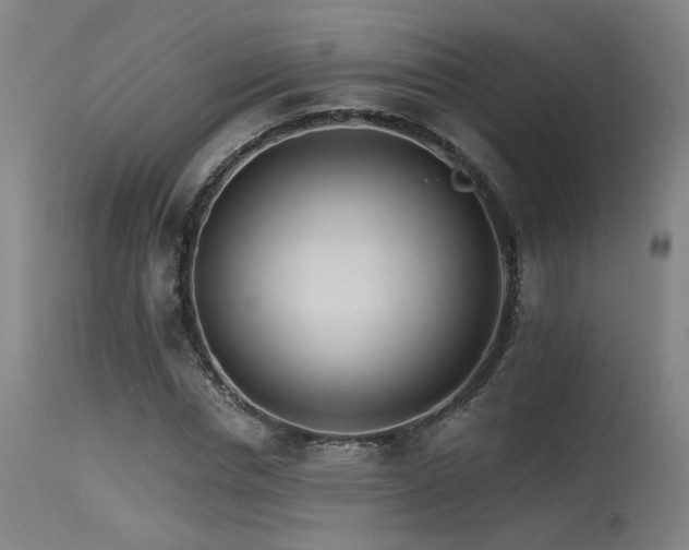 X0000115650826200911101537
