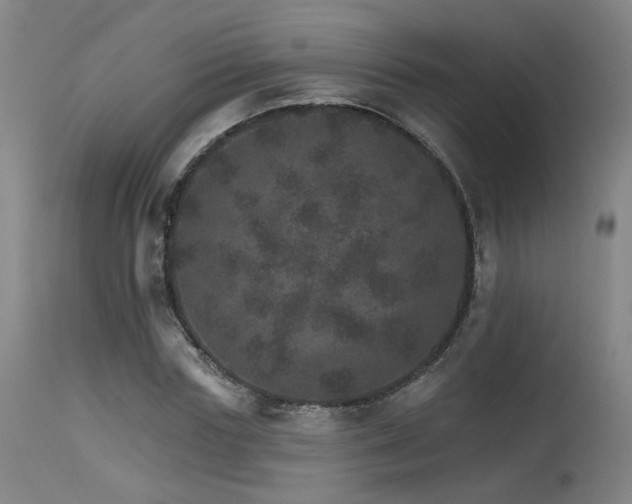 X0000115650827200911101537