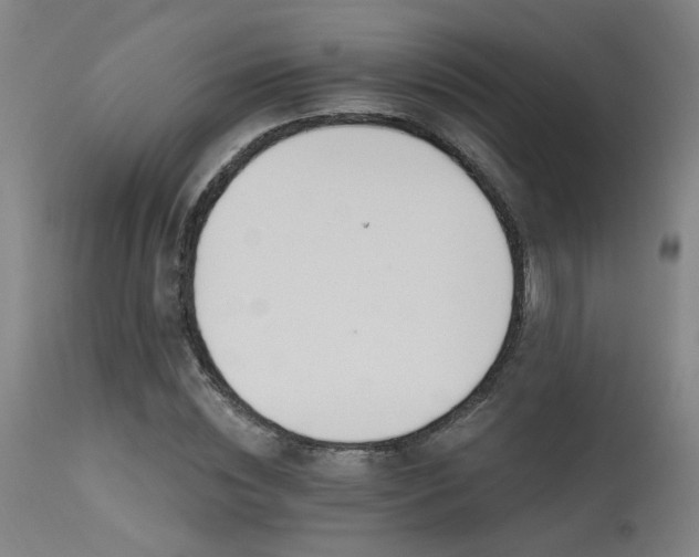 X0000115650828200911101537