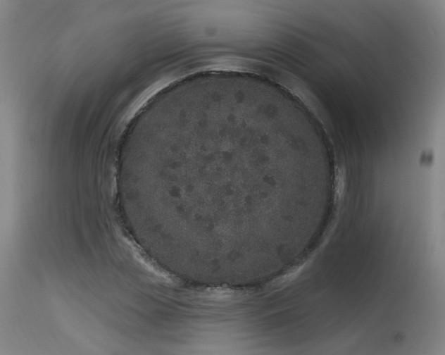 X0000115650829200911101537