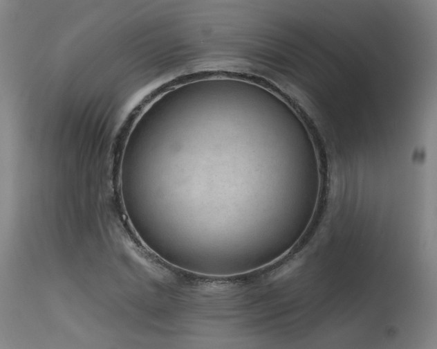X0000115650830200911101537