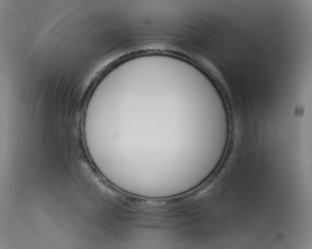 X0000115650831200911101537