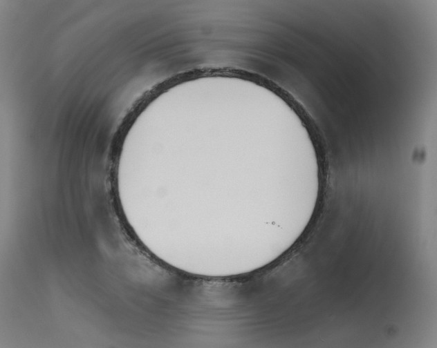 X0000115650832200911101537
