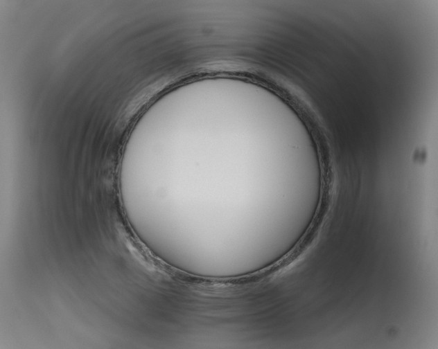 X0000115650833200911101537