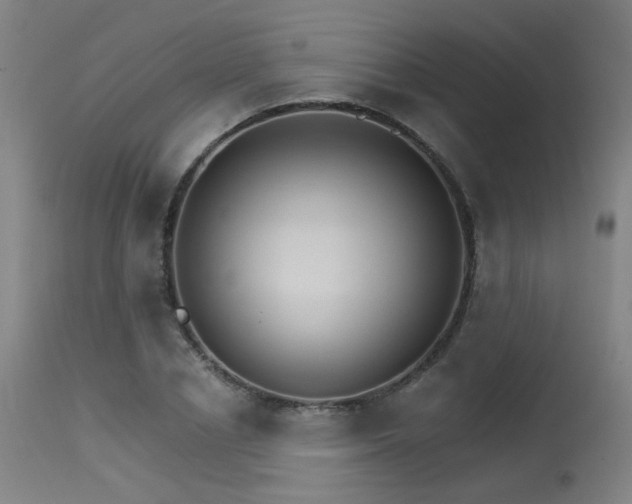 X0000115650834200911101537