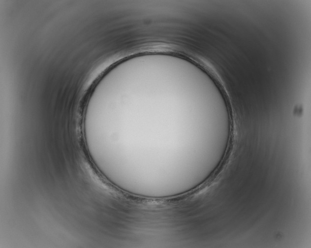 X0000115650835200911101537