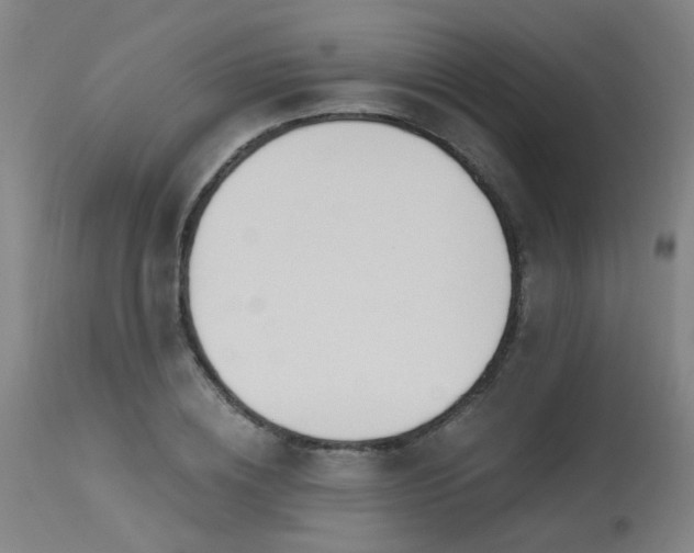 X0000115650836200911101537