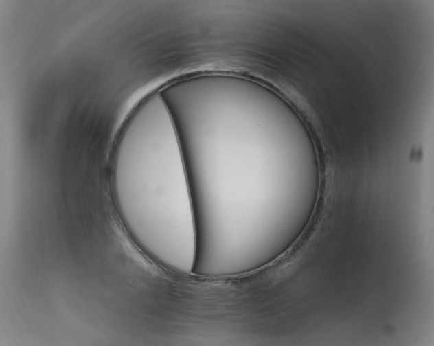 X0000115650838200911101537