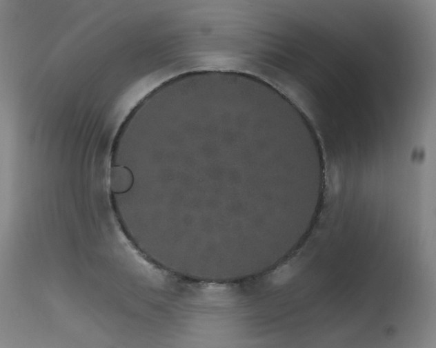 X0000115650839200911101537