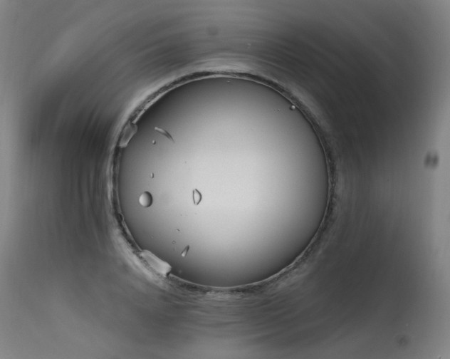 X0000115650840200911101537