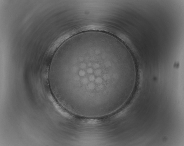 X0000115650841200911101537