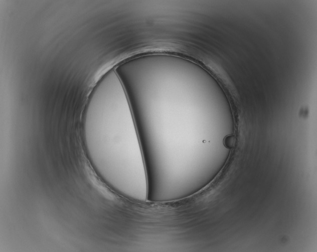 X0000115650842200911101537