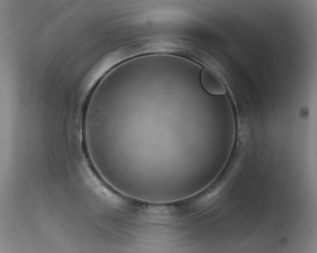 X0000115650843200911101537