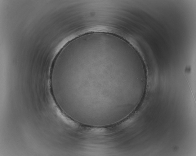 X0000115650845200911101537