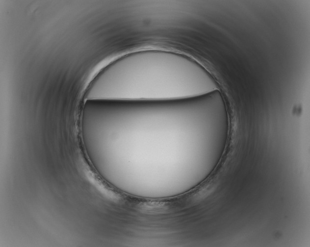 X0000115650846200911101537