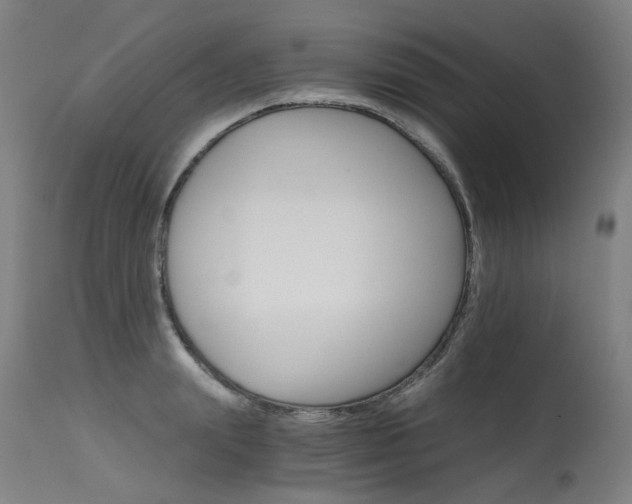 X0000115650847200911101537