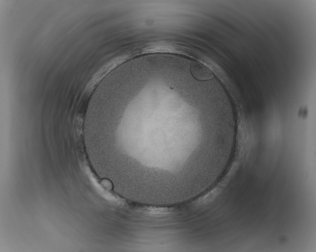 X0000115650849200911101538