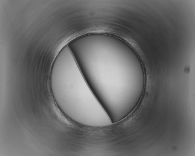 X0000115650850200911101538