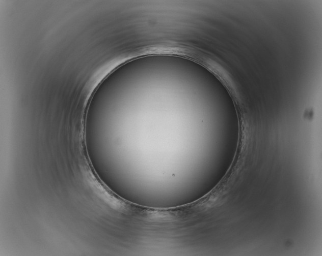 X0000115650852200911101538