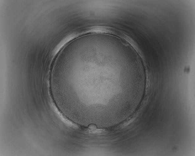 X0000115650853200911101538
