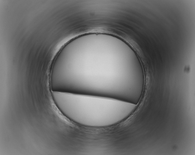 X0000115650854200911101538