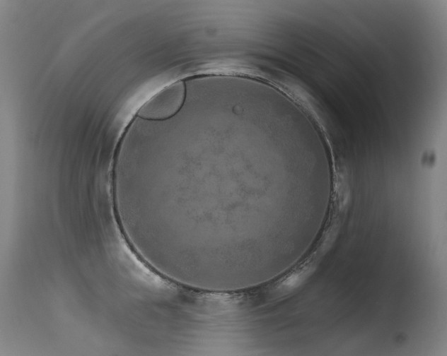 X0000115650855200911101538