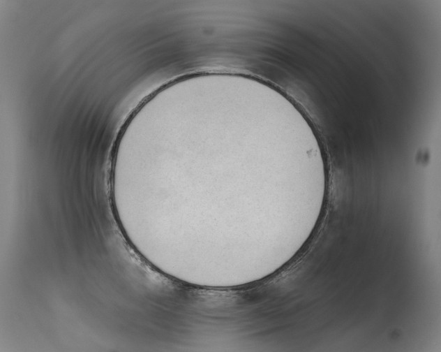 X0000115650856200911101538