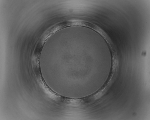 X0000115650857200911101538