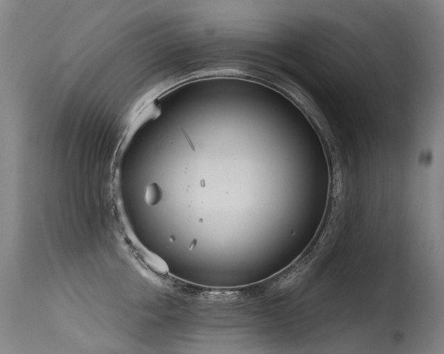 X0000115650858200911101538