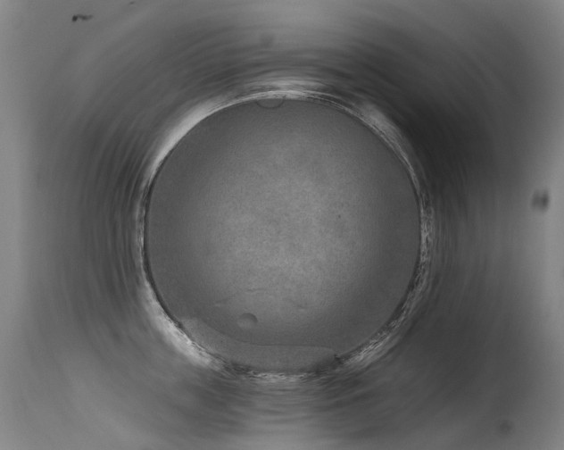 X0000115650859200911101538