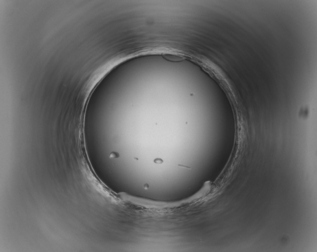 X0000115650860200911101538