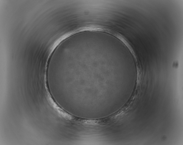 X0000115650861200911101538