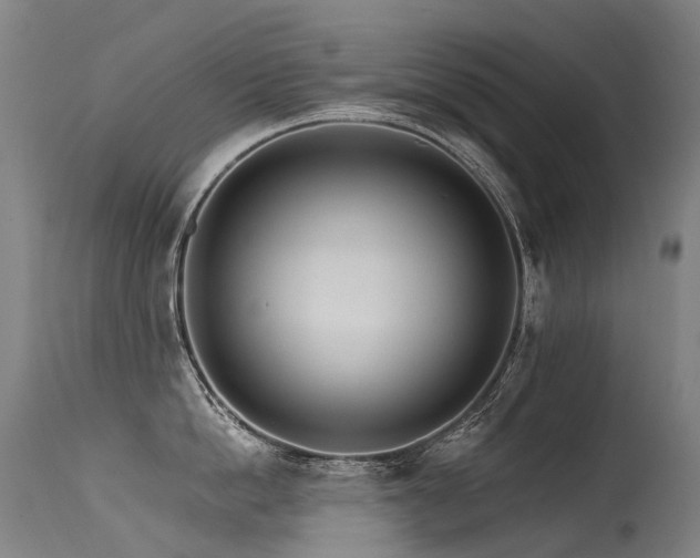 X0000115650862200911101538