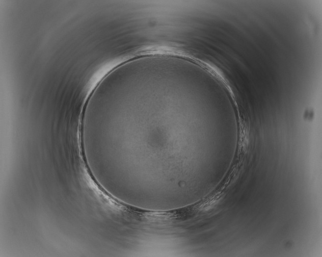 X0000115650863200911101538