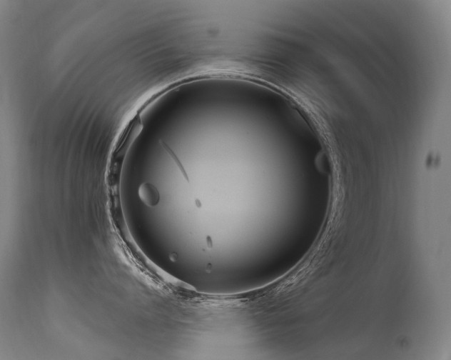 X0000115650864200911101538