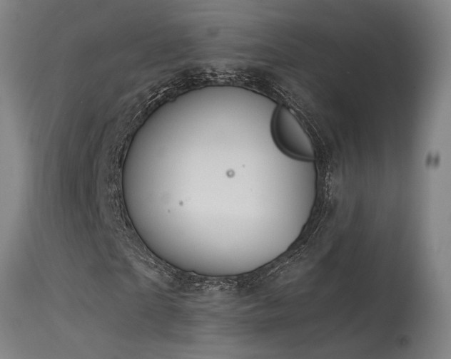 X0000115650865200911101537