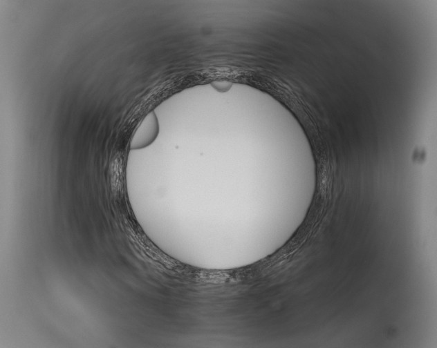 X0000115650866200911101537