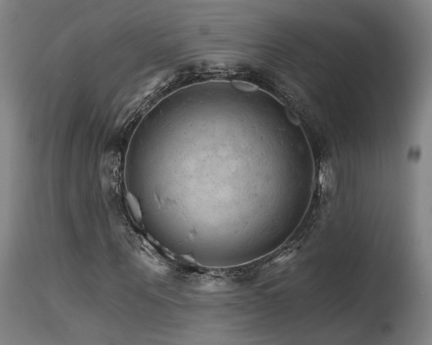 X0000115650867200911101537