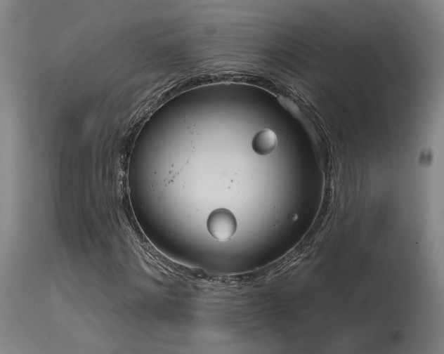 X0000115650868200911101537