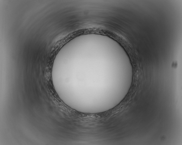 X0000115650869200911101537