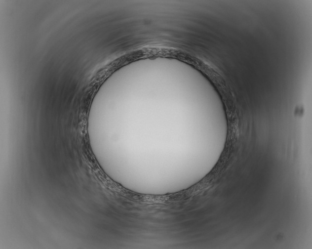 X0000115650870200911101537